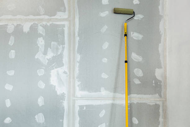 Best Mold Documentation for Insurance Claims  in Southgate, MI