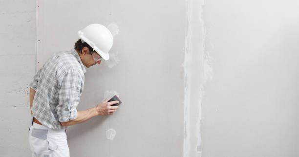 Best Post-Remediation Verification Testing  in Southgate, MI