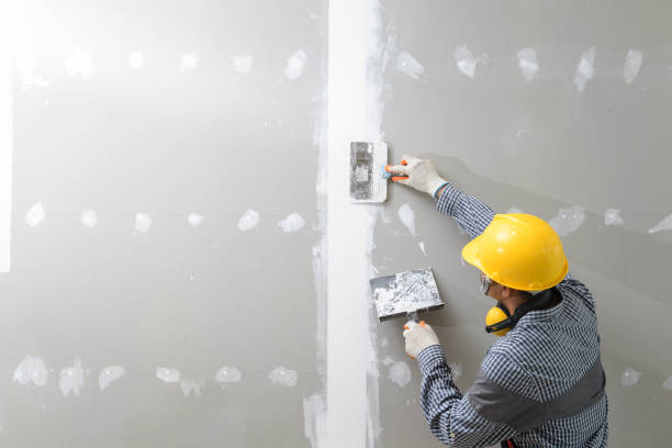Best Dehumidification Services  in Southgate, MI