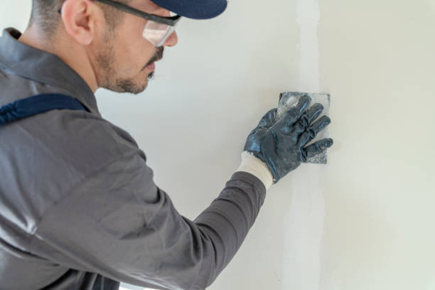Best Post-Construction Mold Inspection  in Southgate, MI