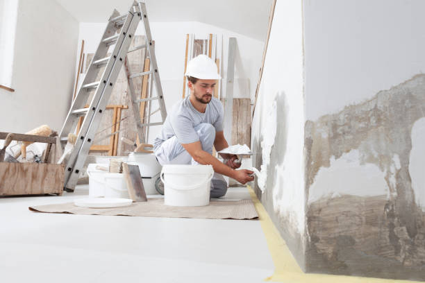 Best Mold Remediation for Vacation Homes  in Southgate, MI