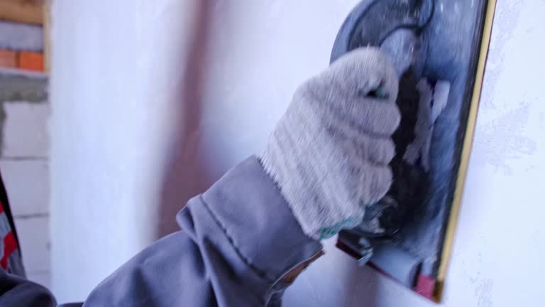 Best Black Mold Removal  in Southgate, MI