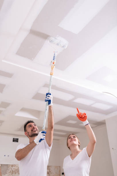 Best Dehumidification Services  in Southgate, MI