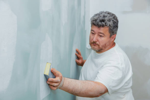 Best Attic Mold Removal  in Southgate, MI