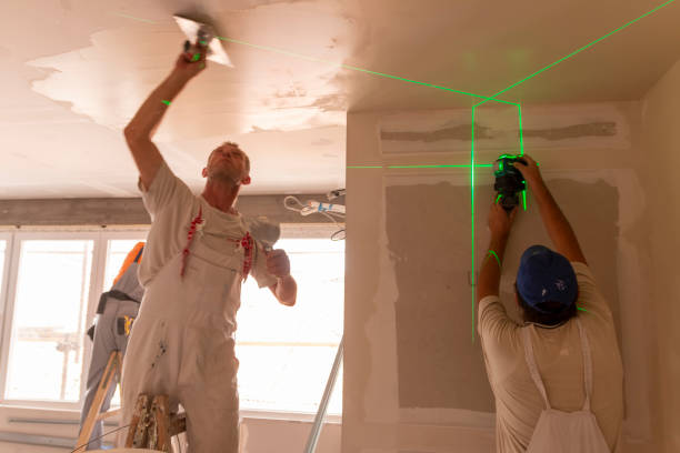 Trusted Southgate, MI Mold Removal Experts